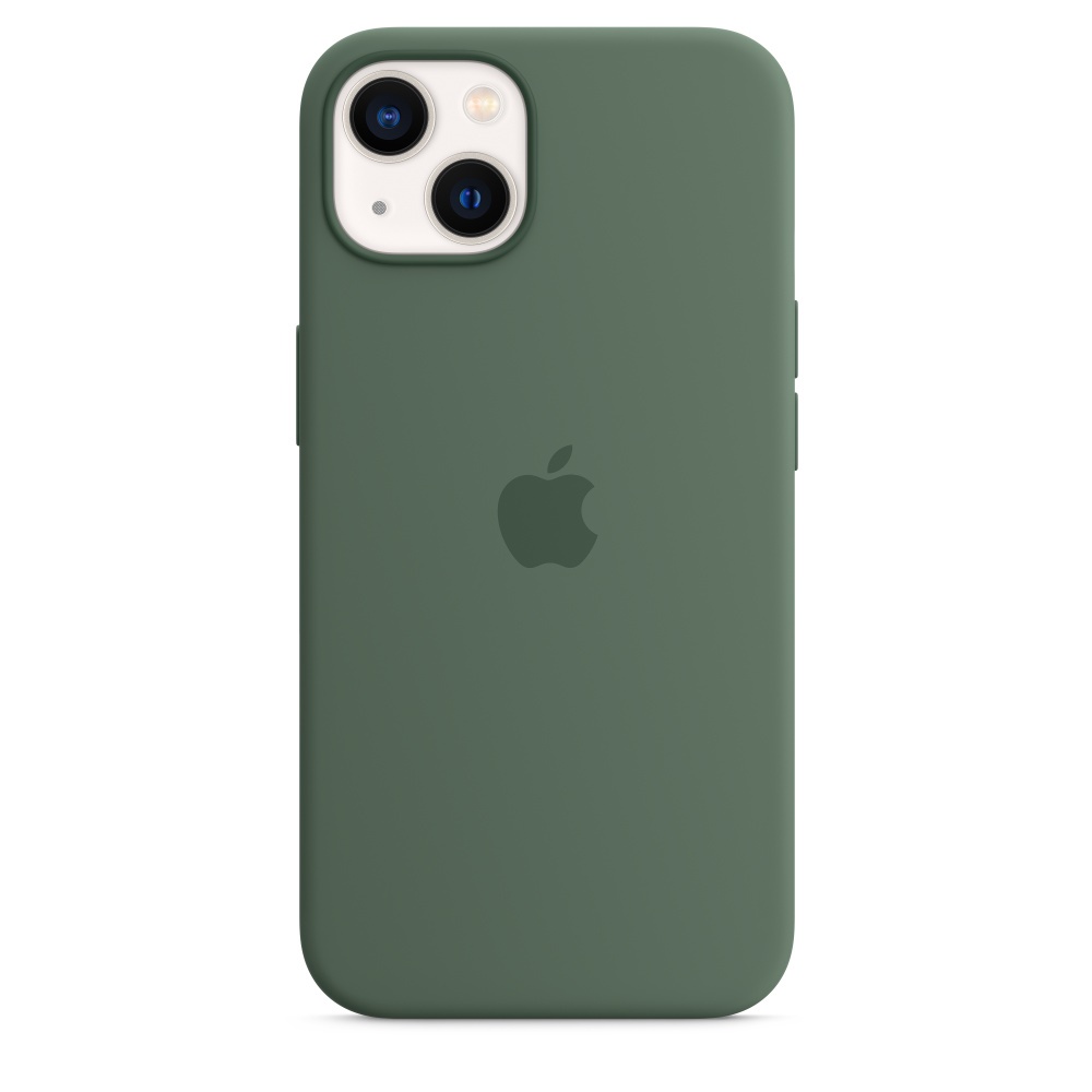 Чохол Silicone Case 1:1 for iPhone 13 Pro Max with MagSafe animation, eucaliptus
